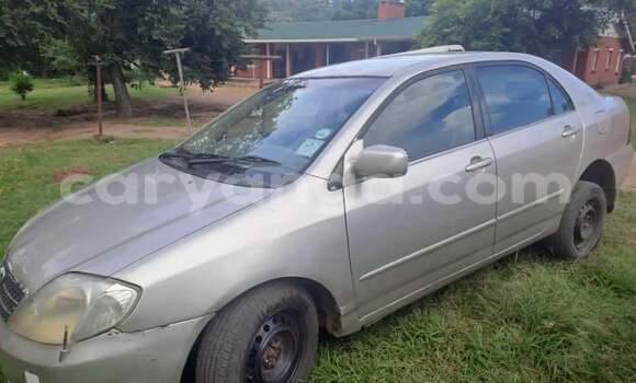 Acheter Occasion Voiture Toyota Corolla Autre à Lilongwe, Malawi Acheter Occasion Voiture Toyota Corolla Autre à Lilongwe, Malawi