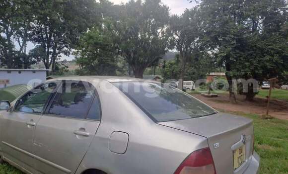 Acheter Occasion Voiture Toyota Corolla Autre à Lilongwe, Malawi Acheter Occasion Voiture Toyota Corolla Autre à Lilongwe, Malawi