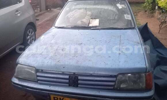 Buy Used Peugeot 309 Blue Car in Lilongwe in Malawi Buy Used Peugeot 309 Blue Car in Lilongwe in Malawi