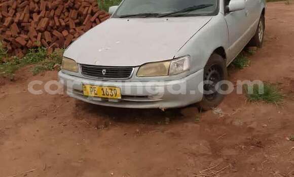 Buy Used Mercedes-Benz C-Classe White Car in Lilongwe in Malawi Buy Used Mercedes-Benz C-Classe White Car in Lilongwe in Malawi