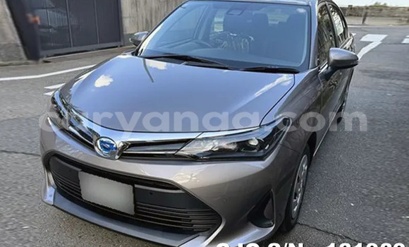 Buy Used Toyota Axio Silver Car in Lilongwe in Malawi Buy Used Toyota Axio Silver Car in Lilongwe in Malawi