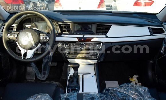Buy Import Kia Cadenza Other Car in Import - Dubai in Malawi Buy Import Kia Cadenza Other Car in Import - Dubai in Malawi