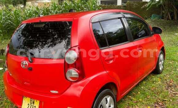 Buy Used Toyota Passo Red Car in Blantyre in Malawi Buy Used Toyota Passo Red Car in Blantyre in Malawi