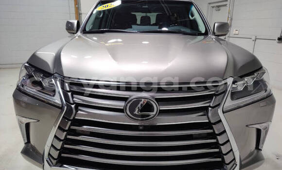 Buy Used Lexus LX 570 Silver Car in Chikwawa in Chikwawa