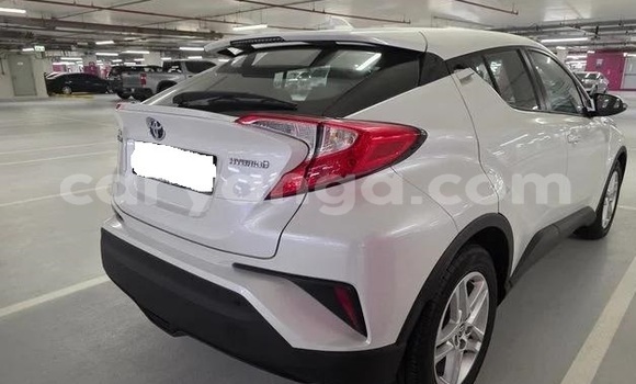 Buy Used Toyota C-HR White Car in Lilongwe in Malawi Buy Used Toyota C-HR White Car in Lilongwe in Malawi
