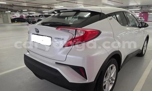 Buy Used Toyota C-HR White Car in Lilongwe in Malawi Buy Used Toyota C-HR White Car in Lilongwe in Malawi