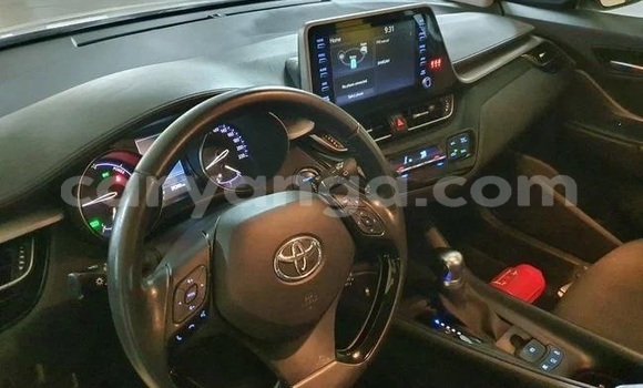 Buy Used Toyota C-HR White Car in Lilongwe in Malawi Buy Used Toyota C-HR White Car in Lilongwe in Malawi