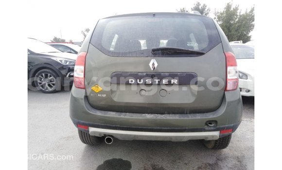 Buy Import Renault Duster Green Car in Import - Dubai in Malawi