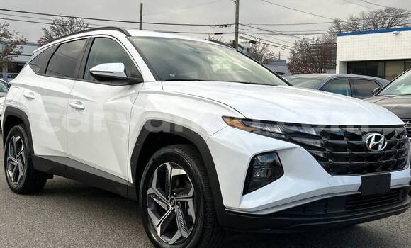 Buy Used Hyundai Tucson White Car in Lilongwe in Malawi