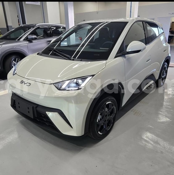 Big with watermark byd seagull malawi lilongwe 16420