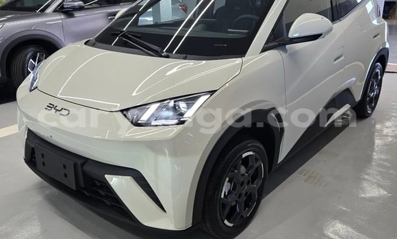 Buy Used BYD Seagull White Car in Lilongwe in Malawi