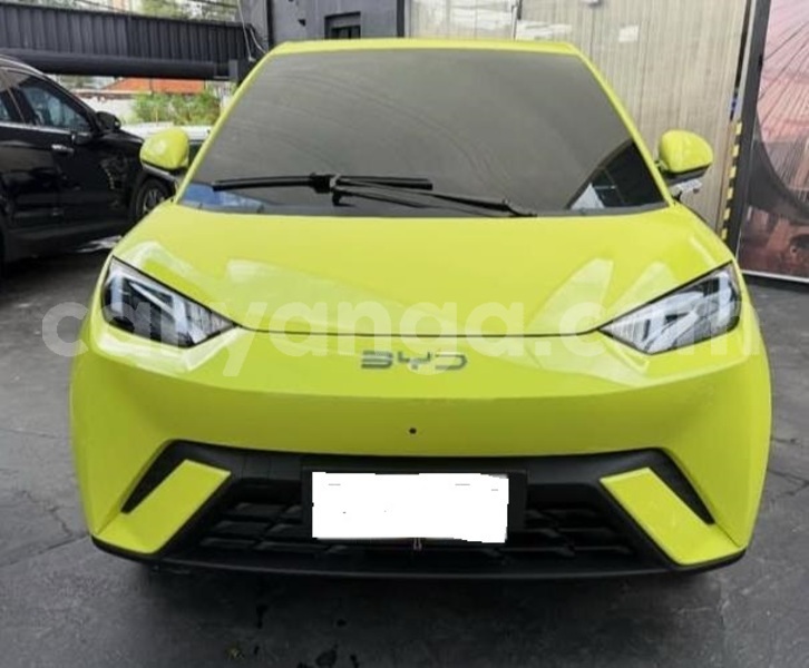 Big with watermark byd seagull malawi lilongwe 16420