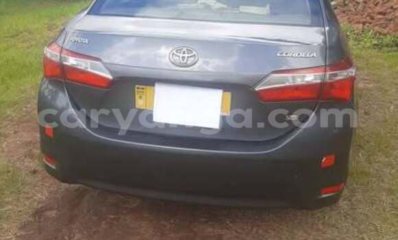 Buy Used Toyota Avanza Other Car in Blantyre in Malawi