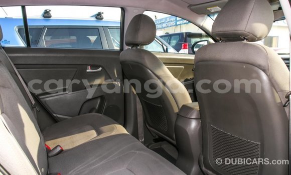 Buy Import Kia Sportage Brown Car in Import - Dubai in Malawi Buy Import Kia Sportage Brown Car in Import - Dubai in Malawi