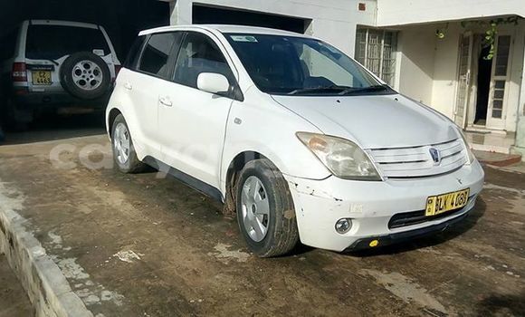 Buy Used Toyota IST White Car in Limbe in Malawi Buy Used Toyota IST White Car in Limbe in Malawi