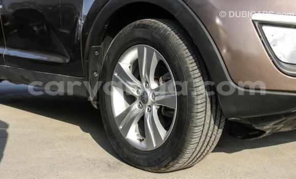 Buy Import Kia Sportage Brown Car in Import - Dubai in Malawi Buy Import Kia Sportage Brown Car in Import - Dubai in Malawi