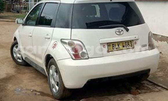 Buy Used Toyota IST White Car in Limbe in Malawi Buy Used Toyota IST White Car in Limbe in Malawi