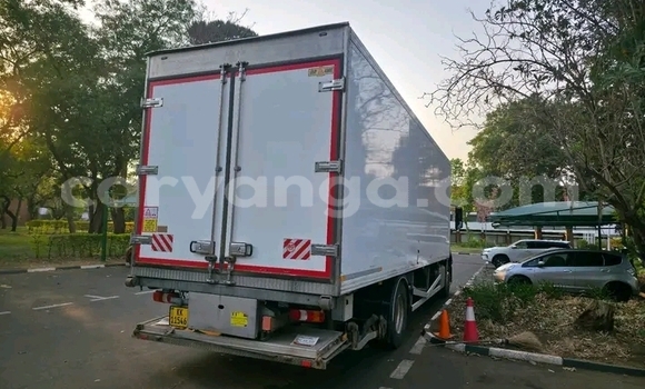 Buy Used Mercedes‒Benz Truck Silver Truck in Lilongwe in Malawi