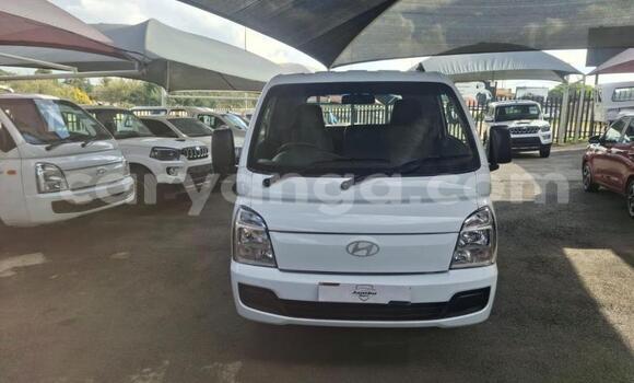 Buy Used Hyundai H200 White Car in Lilongwe in Malawi