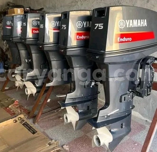 Big with watermark 75