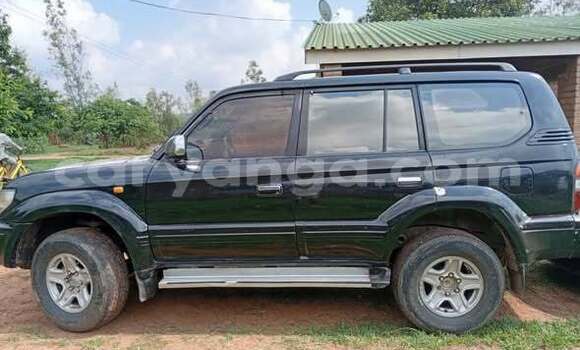 Buy Used Toyota Prado Other Car in Blantyre in Malawi Buy Used Toyota Prado Other Car in Blantyre in Malawi