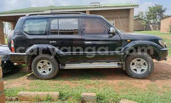 Buy Used Toyota Prado Other Car in Blantyre in Malawi Buy Used Toyota Prado Other Car in Blantyre in Malawi