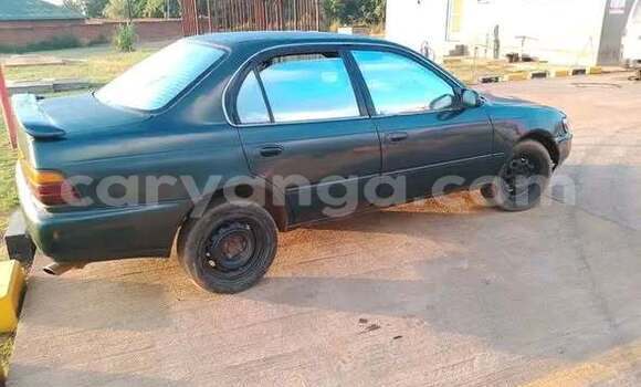 Buy Used Toyota Corolla Other Car in Blantyre in Malawi