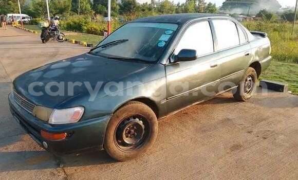 Buy Used Toyota Corolla Other Car in Blantyre in Malawi Buy Used Toyota Corolla Other Car in Blantyre in Malawi