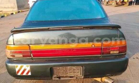 Buy Used Toyota Corolla Other Car in Blantyre in Malawi Buy Used Toyota Corolla Other Car in Blantyre in Malawi