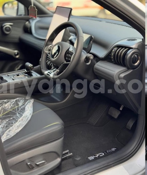 Big with watermark byd atto3 malawi lilongwe 16591