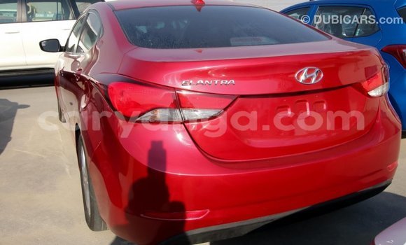 Buy Import Hyundai Elantra Red Car in Import - Dubai in Malawi
