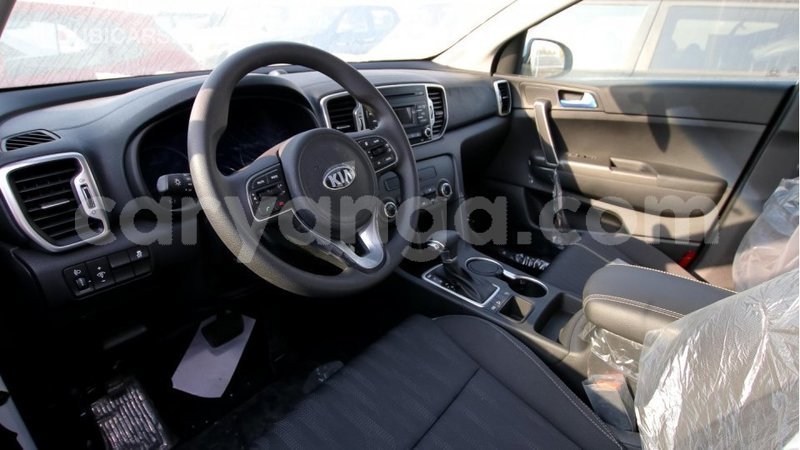 Big with watermark a0966d8e 2bfd 4c6d 8c1a 0fdaa451c42f