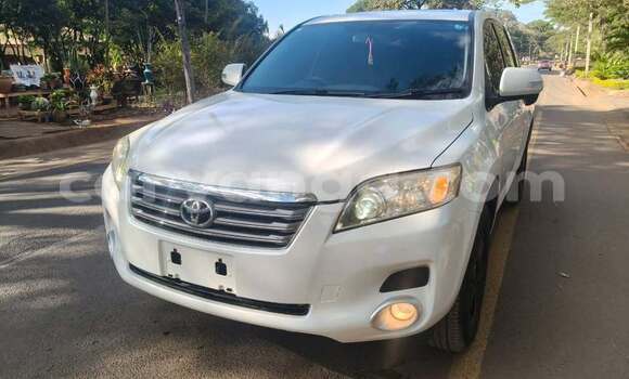 Buy Used Toyota Vanguard White Car in Blantyre in Malawi Buy Used Toyota Vanguard White Car in Blantyre in Malawi