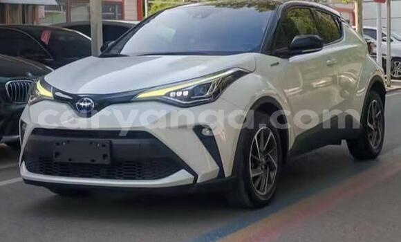 Buy Used Toyota C-HR White Car in Lilongwe in Malawi