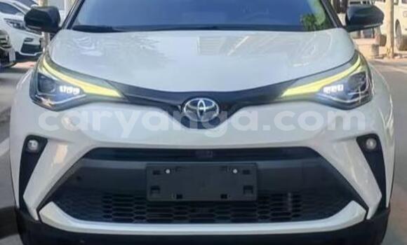Buy Used Toyota C-HR White Car in Lilongwe in Malawi Buy Used Toyota C-HR White Car in Lilongwe in Malawi