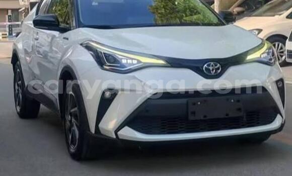Buy Used Toyota C-HR White Car in Lilongwe in Malawi Buy Used Toyota C-HR White Car in Lilongwe in Malawi