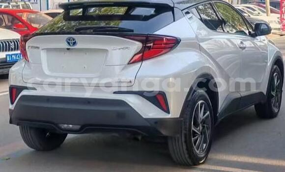 Buy Used Toyota C-HR White Car in Lilongwe in Malawi Buy Used Toyota C-HR White Car in Lilongwe in Malawi