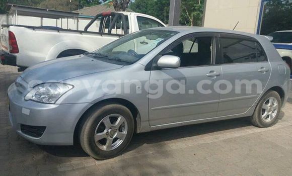 Buy Used Toyota Allex Silver Car in Limbe in Malawi Buy Used Toyota Allex Silver Car in Limbe in Malawi