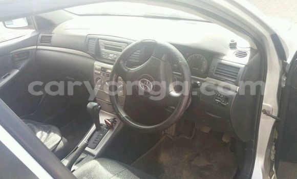 Buy Used Toyota Allex Silver Car in Limbe in Malawi Buy Used Toyota Allex Silver Car in Limbe in Malawi