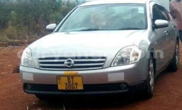 Buy Used Nissan Teana Silver Car in Limbe in Malawi Buy Used Nissan Teana Silver Car in Limbe in Malawi