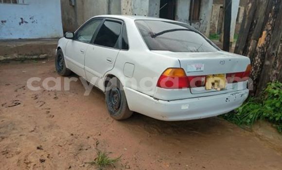 Buy Used Toyota Sprinter White Car in Kasungu in Malawi Buy Used Toyota Sprinter White Car in Kasungu in Malawi