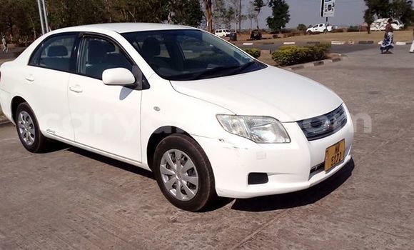 Buy Used Toyota Axio White Car in Limbe in Malawi Buy Used Toyota Axio White Car in Limbe in Malawi