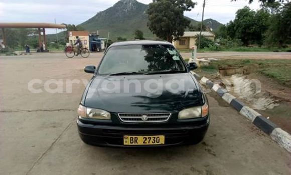 Buy Used Toyota Corolla Black Car in Kasungu in Malawi Buy Used Toyota Corolla Black Car in Kasungu in Malawi