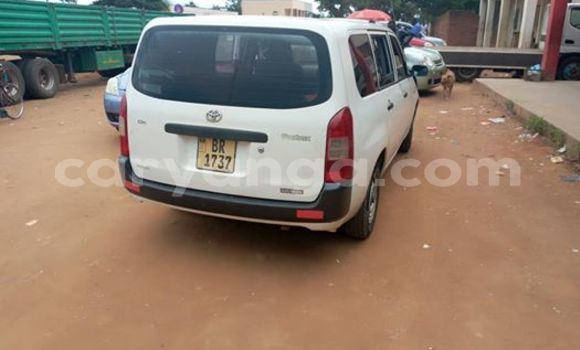 Buy Used Toyota Probox White Car in Kasungu in Malawi Buy Used Toyota Probox White Car in Kasungu in Malawi