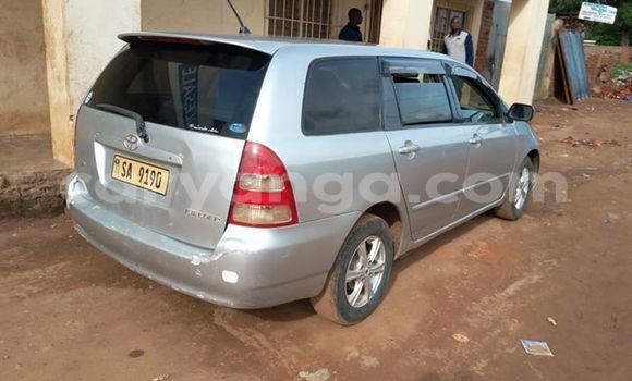 Buy Used Toyota Fielder Silver Car in Kasungu in Malawi Buy Used Toyota Fielder Silver Car in Kasungu in Malawi