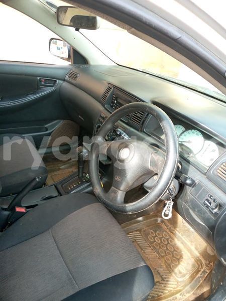 Big with watermark 50676815 2300005723367368 6147652338787024896 n