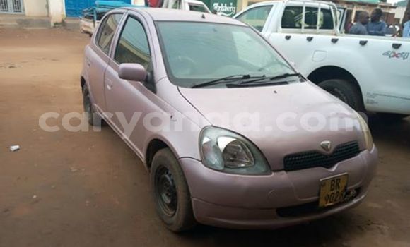 Buy Used Toyota Vitz Other Car in Kasungu in Malawi Buy Used Toyota Vitz Other Car in Kasungu in Malawi