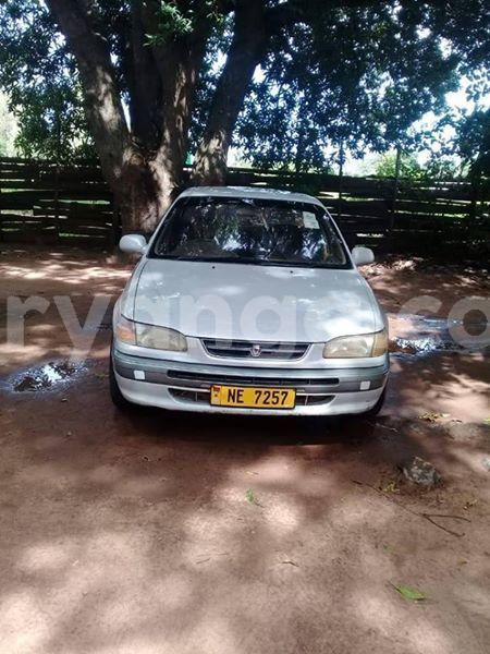 Big with watermark 55627752 435903783883474 1235036718051098624 n