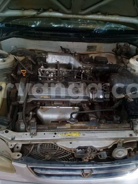 Big with watermark 56320456 435903747216811 3457628503560683520 n