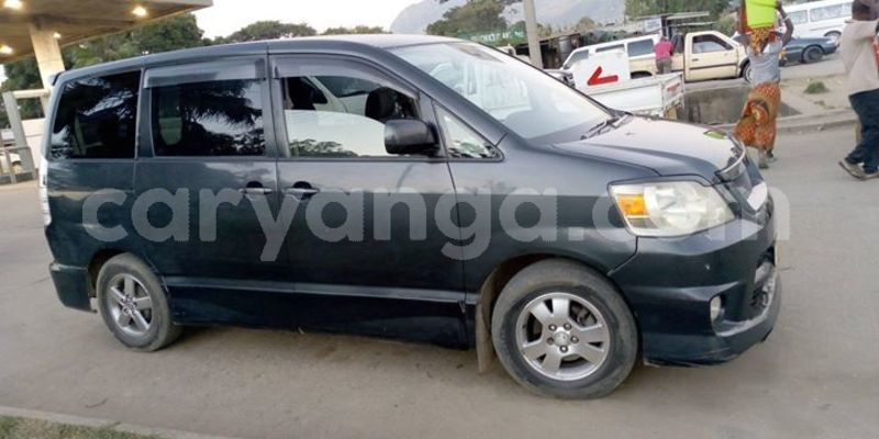 Big with watermark 55769985 436690480471471 4425124110946795520 o